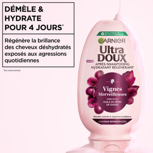 Lot de 12 - Garnier Ultra Doux Vignes Merveilleuses Après-Shampooing Hydratant Régénérant 200ml - Homme & Femme