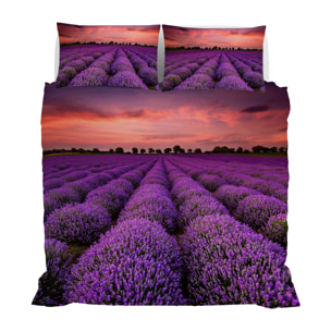 PARURE COPRIPIUMINO GOODNIGHT MATRIMONIALE - STAMPA DIGITALE 100% Microfibra