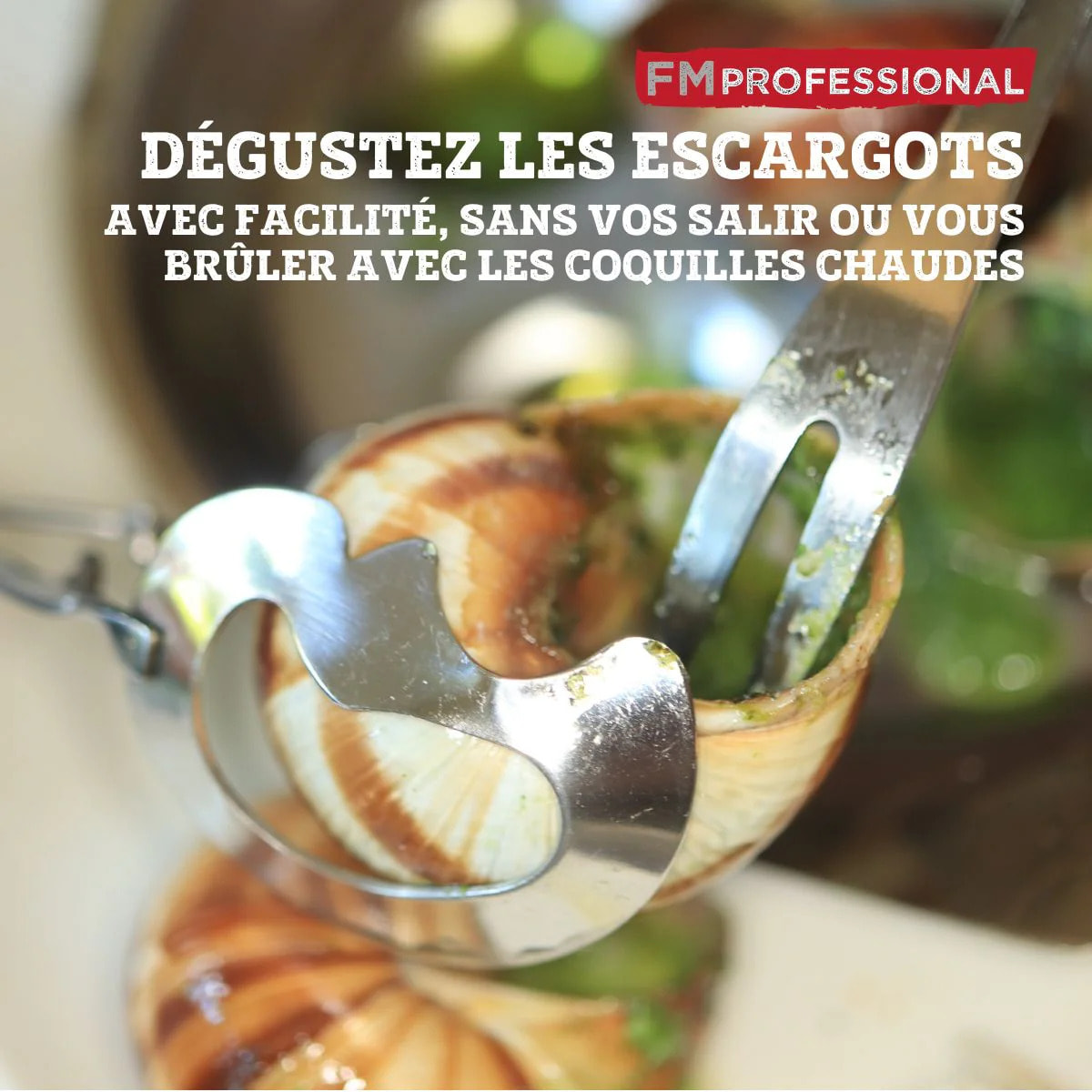 Lot de 4 pinces à escargot FM Professional