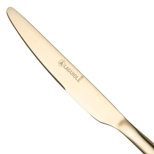 Ménagère 24 pièces - "Cléa champagne"