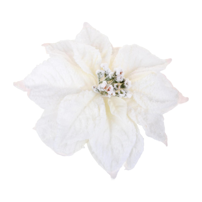 Stella Con Clip con Neve - Pezzi 12 - Colore Crema - 24x5Hx24cm - Bianchi Dino