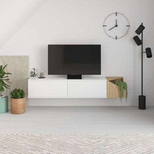 Mueble Tv Aulos 2 Puertas