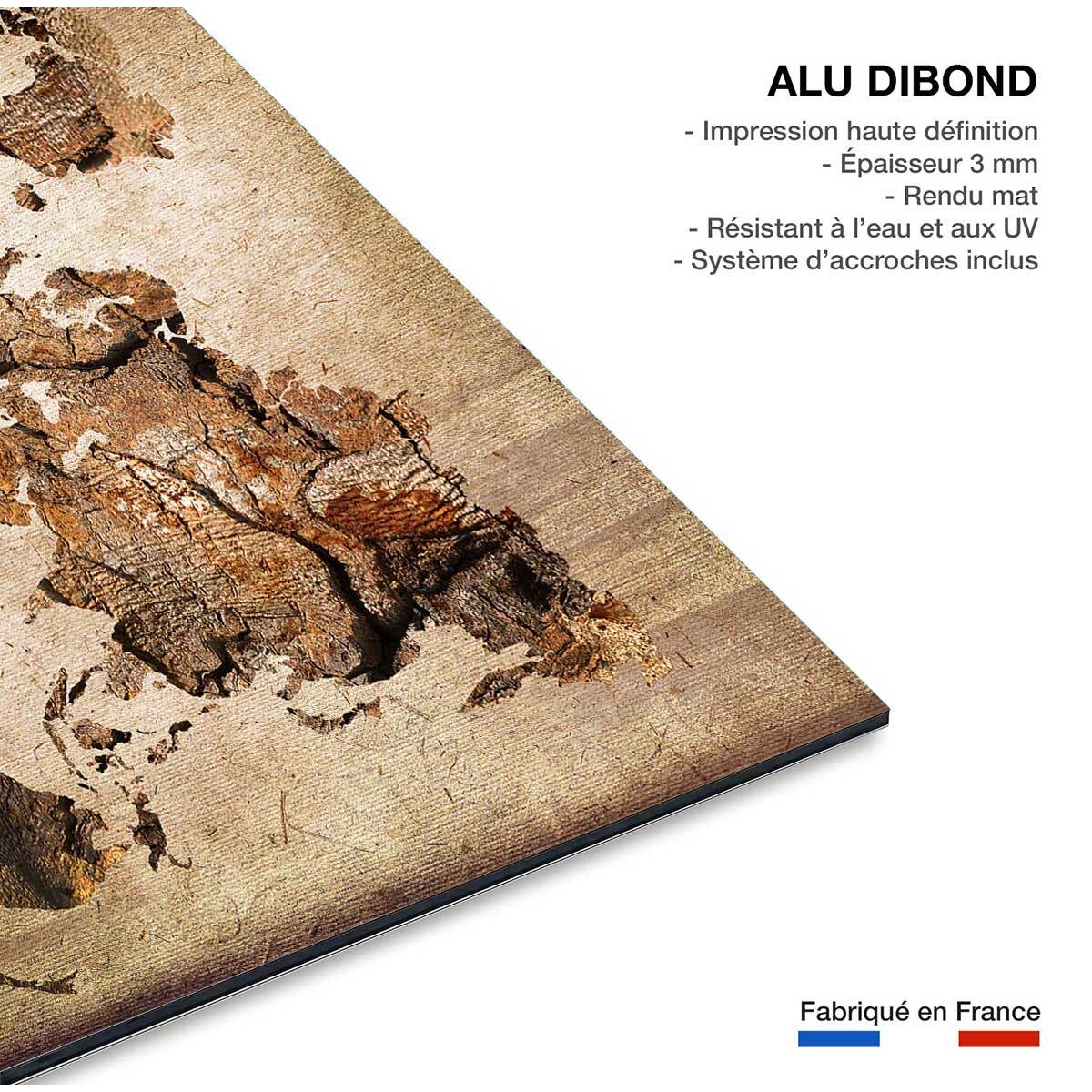 Tableau carte du monde effet bois Tableau alu Dibond