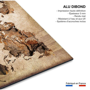 Tableau carte du monde effet bois Tableau alu Dibond