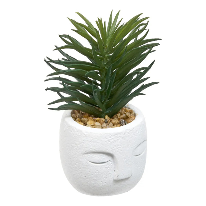 Plante artificielle Teri 9 cm avec Pot visage