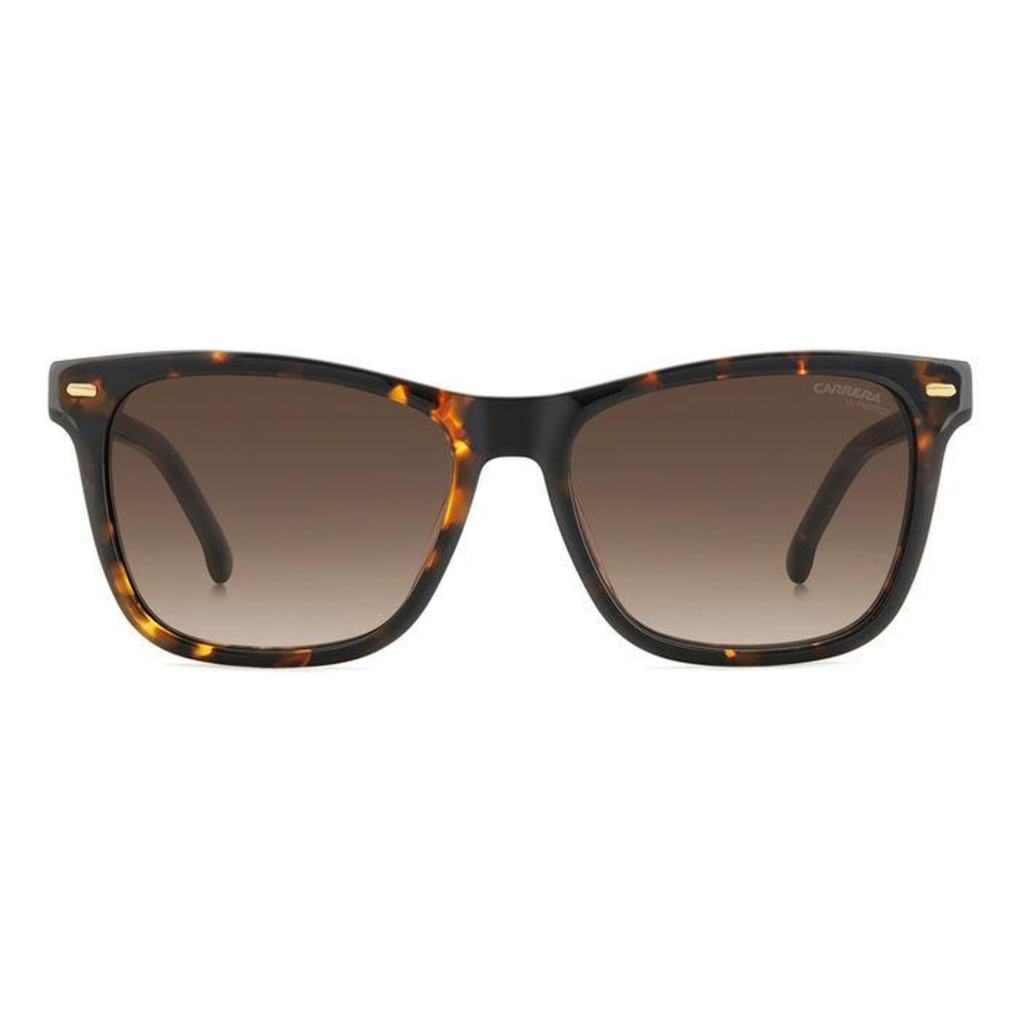 Gafas de Sol Carrera 3001/S 086 de Acetato Mujer 54 mm