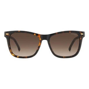 Gafas de Sol Carrera 3001/S 086 de Acetato Mujer 54 mm