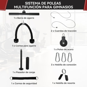 Poleas Gimnasio para Casa, Sistema de Polea de Cable de Peso para Gimnasio, para Tracción LAT, Rizo de Bíceps, Tríceps, Entrenamiento de Brazo, Hombros y Espalda