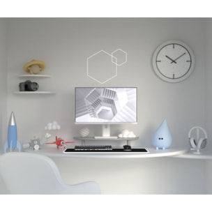 Ecran PC Gamer JAPANNEXT JN-IPS238G120F-HSP-PK 24'' Blanc