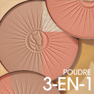 La Provençale La Poudre d'Eclat l'Instant Doré