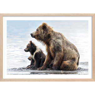 Affiche animaux profile Family Affiche + cadre en bois - Chêne