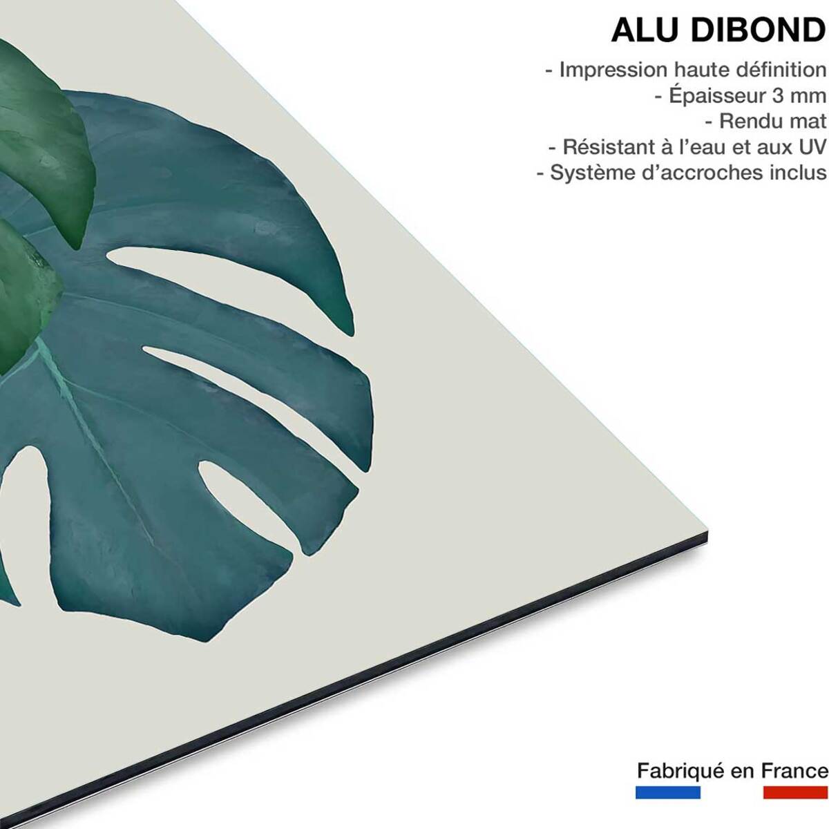 Tableau Monstera turquoise Tableau alu Dibond