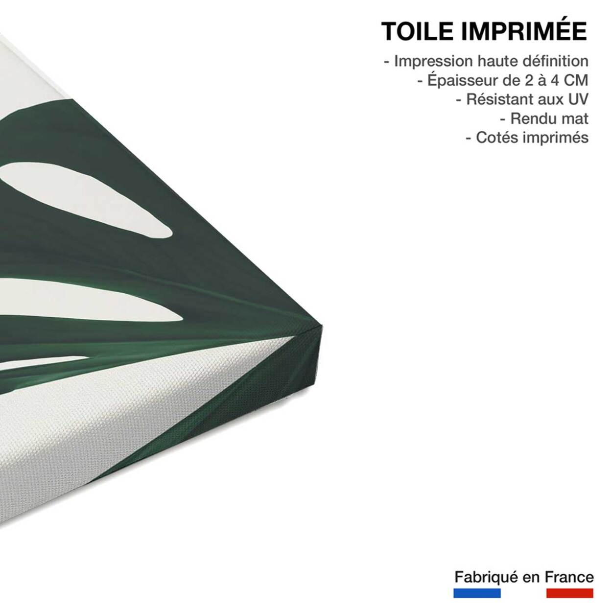 Tableau monstera quattro Toile imprimée