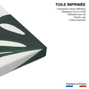 Tableau monstera quattro Toile imprimée