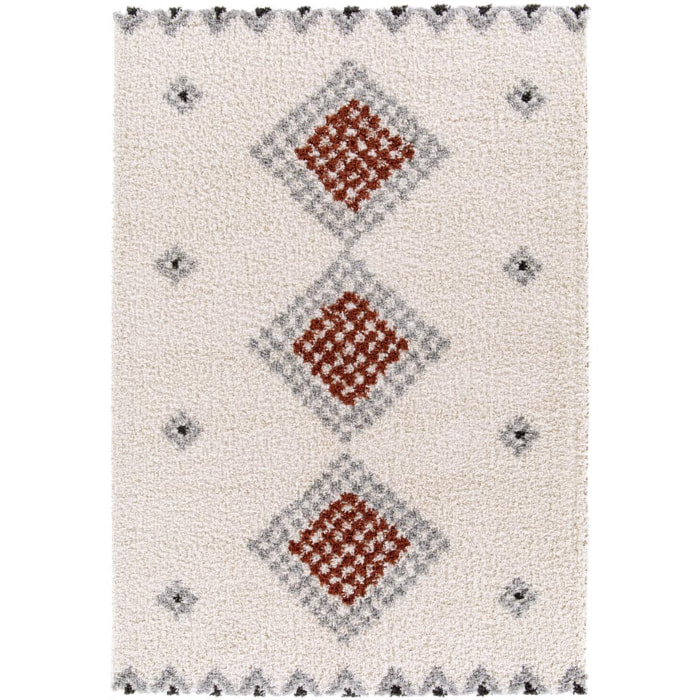 Tapis Shaggy longues mêches et aux motifs traditionnels Berbères