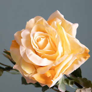 Rosa con boccio - Pezzi 2 - Colore:Giallo - Bianchi Dino