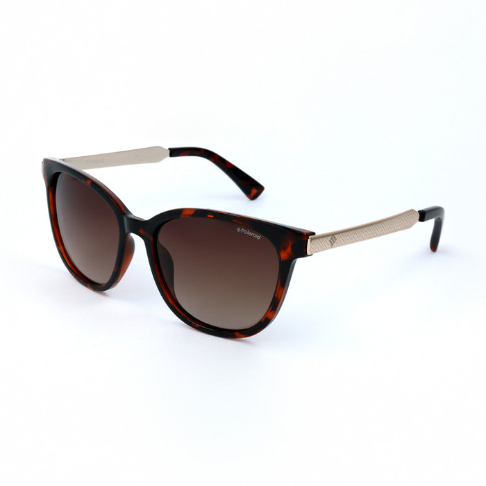 Polaroid - Lunettes de soleil - havane - protection UV : cat. 3