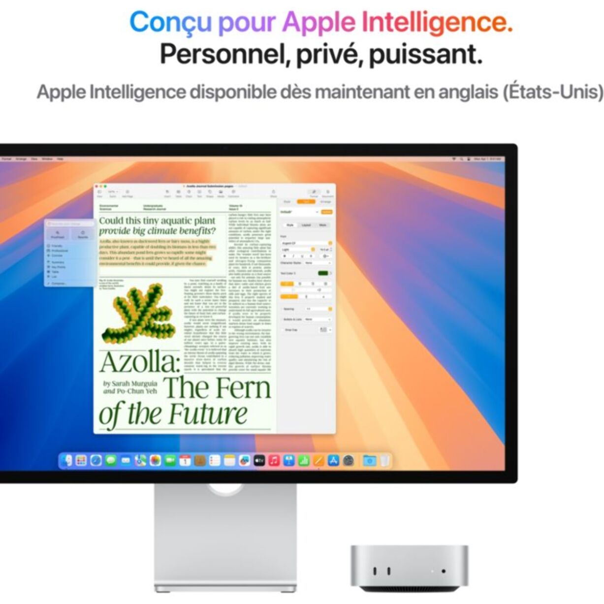 Ordinateur Apple MAC MINI Puce M4 CPU 10 / GPU 10 coeurs Mémoire RAM 16Go Stockage 256Go SSD Argent