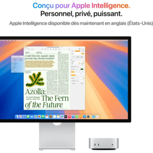 Ordinateur Apple MAC MINI Puce M4 CPU 10 / GPU 10 coeurs Mémoire RAM 16Go Stockage 256Go SSD Argent