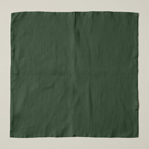 Lot de 2 serviettes Vert Uni