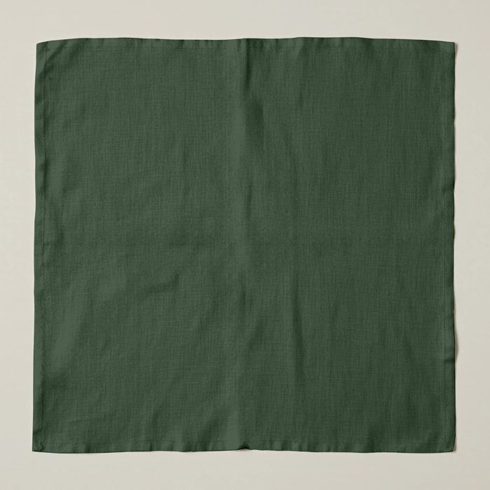 Lot de 2 serviettes Vert Uni