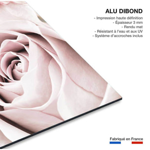 Tableau rosa romantica Tableau alu Dibond
