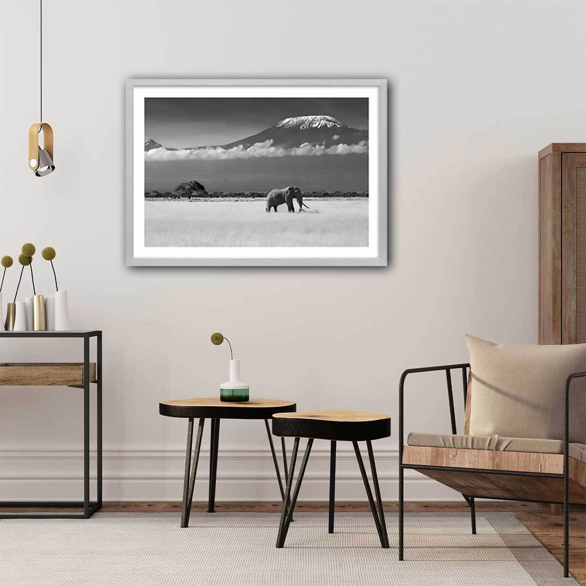 Affiche éléphant et kilimanjaro Affiche + cadre en bois - Chêne