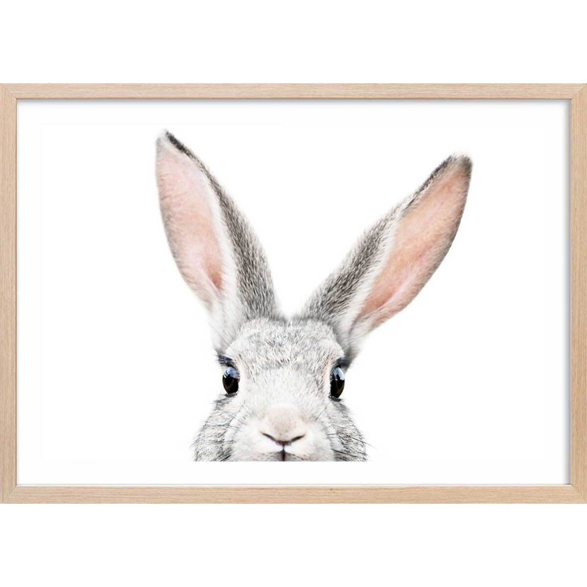Affiche enfant lapin  Affiche sous cadre bois
