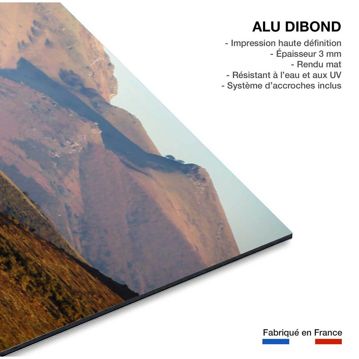 Tableau chevaux pottok  Tableau alu Dibond