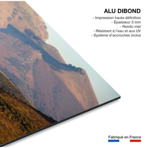 Tableau chevaux pottok  Tableau alu Dibond