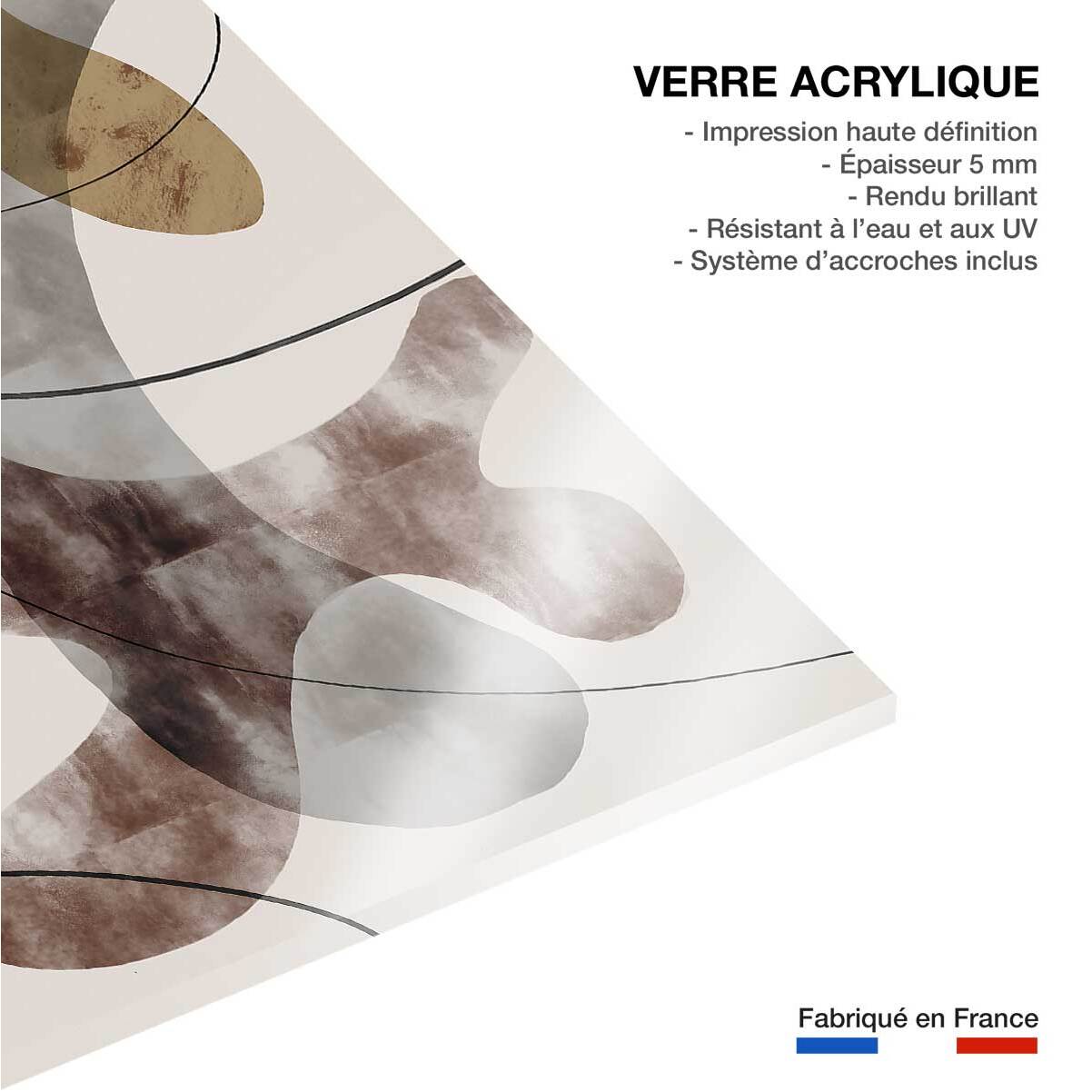 Tableau Organisme abstrait N°1 Tableau plexiglas