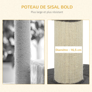 Arbre à chat avec griffoir centre d'activités 2 plateformes coussin gris