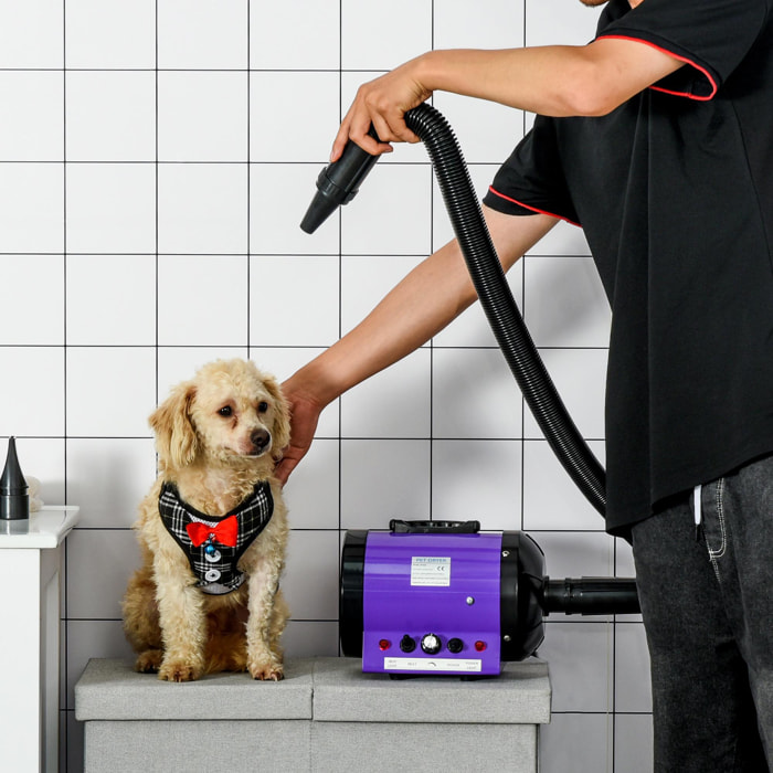Séchoir sèche-poils toilettage professionnel pour chien chat animaux 2800 W température + vitesse réglable rose fuchsia noir