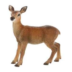 Animali della Foresta/Cerva Rossa