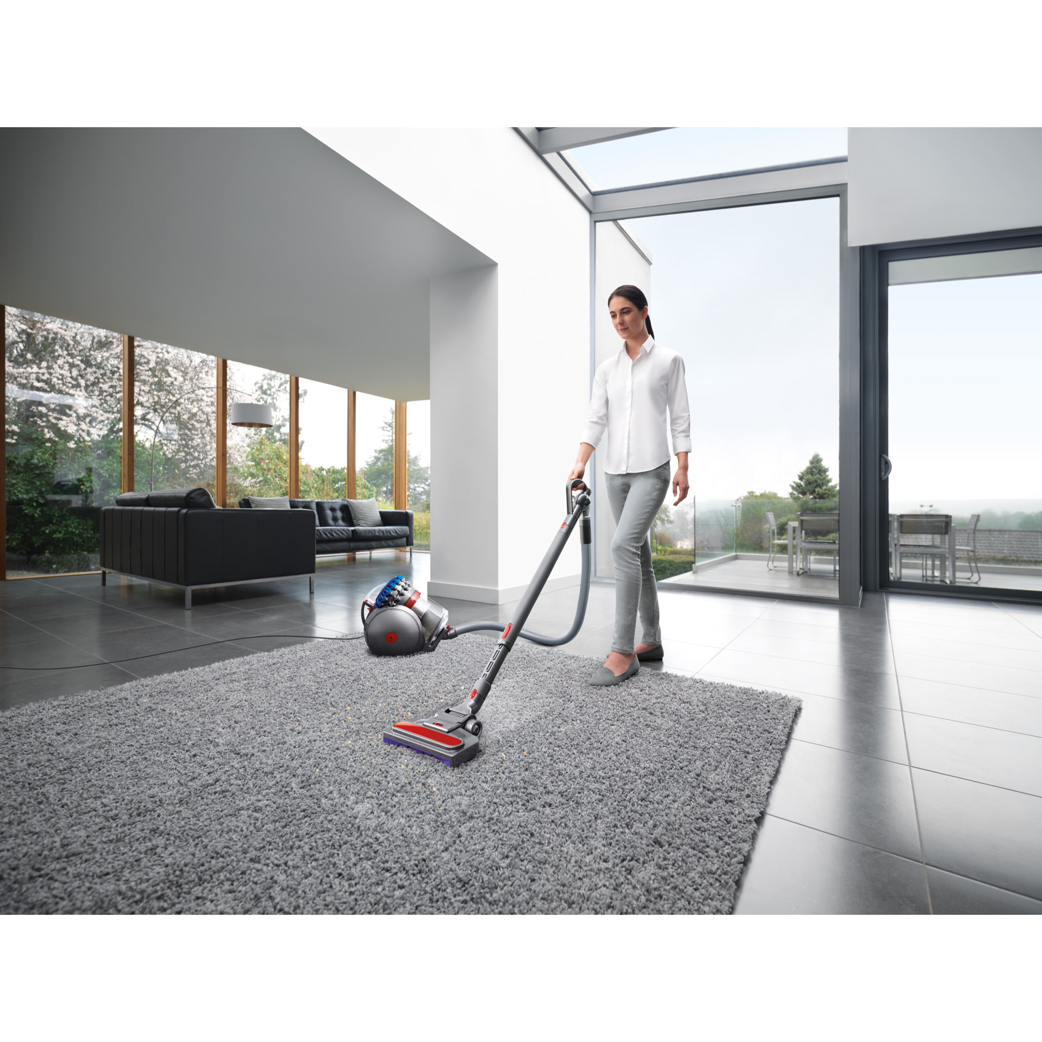 Aspirateur Dyson Big Ball ​Absolute 2​
