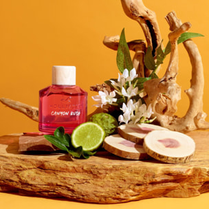 Canyon Rush For Her - Eau de Parfum 100 ml