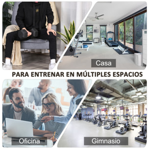 Mancuerna Hexagonal 12,5 kg de Hierro Fundido Pesas de Acero Recubiertas de Goma con Mango Moleteado para Musculación Entrenamiento en Casa Gimnasio