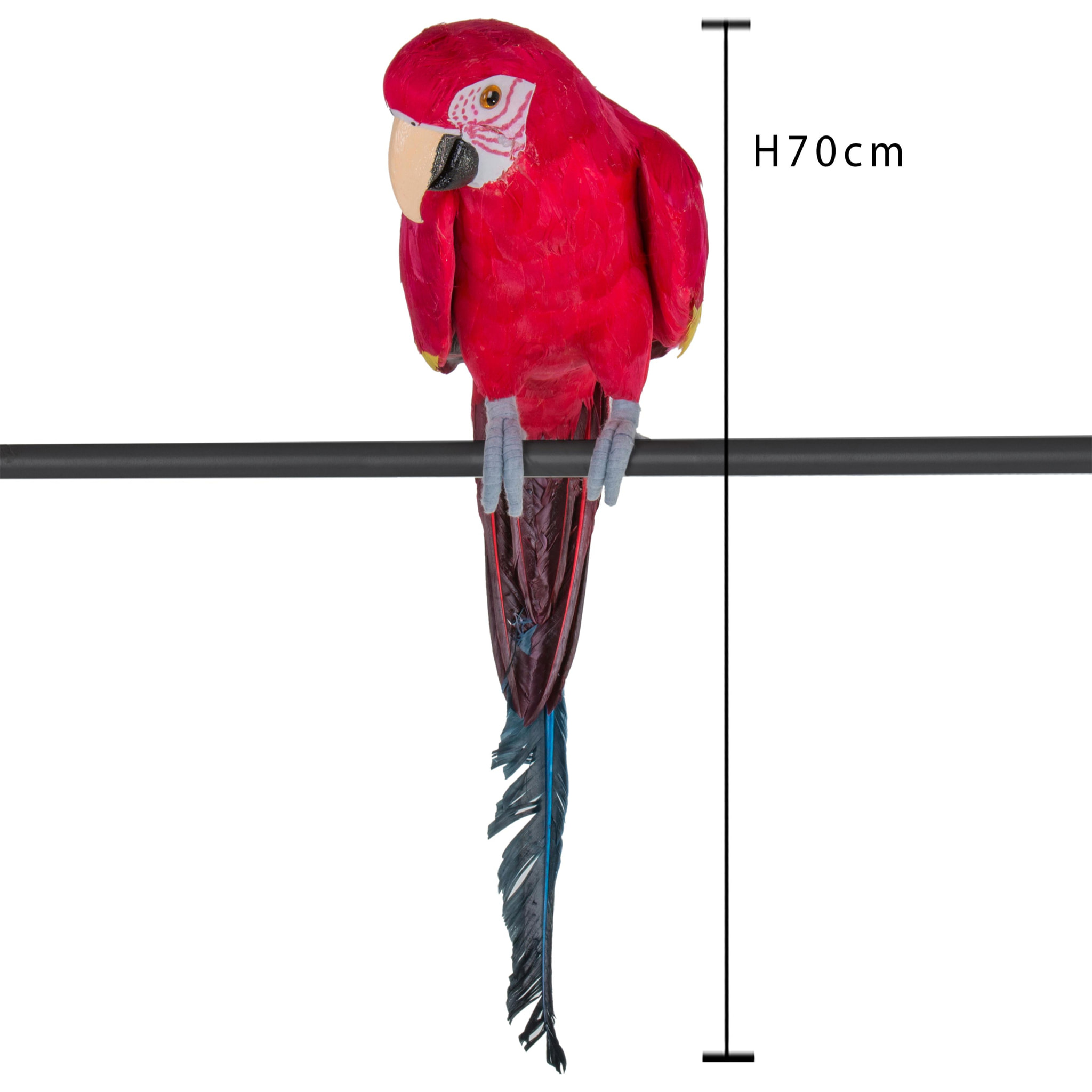 Pappagallo. Altezza 70 Cm - Pezzi 1 - 15X70X16cm - Colore: Rosso - Bianchi Dino - Articoli Primaverili E Pasquali