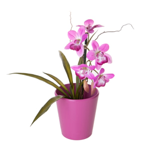 Vaso Orchidea diametro 12X14 Cm - Pezzi 6 - 12X14X12cm - Colore: Rosa - Bianchi Dino - Decori Casa E Complementi