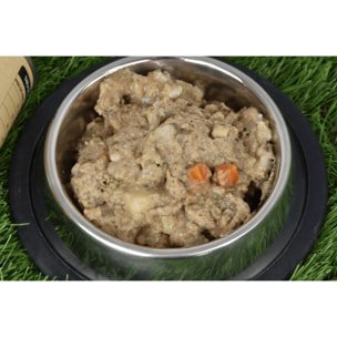Pack 6 x Comida Húmeda Grain Free Superpremium para perro Salmón Planeta Huerto 380 g