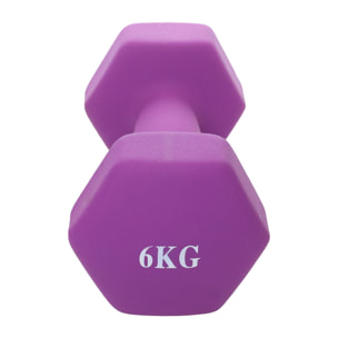 Neo Dumbbell 1 Pair Kg 6