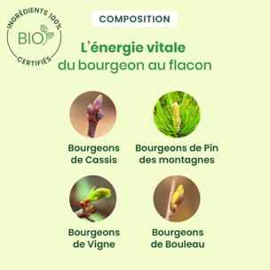 Herbalgem- Artigem - complexe articulations - Bio - 30 ml