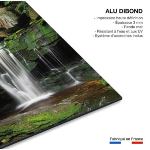 Tableau cascade chutes d'elakala ouest  Tableau alu Dibond