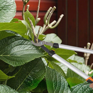 Ensemble 4 pièces taille-haies ébrancheur sécateur scie pliable