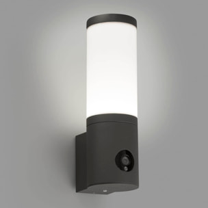 ORWELL LED Lampe applique gris foncé avec caméra