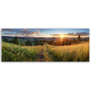 Tableau panoramique prairie fleurie et coucher de soleil campagne Toile imprimée