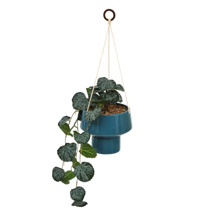 Plante suspendue Homy H.80cm