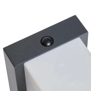 Applique aimantée Multy pour pergola gris graphite