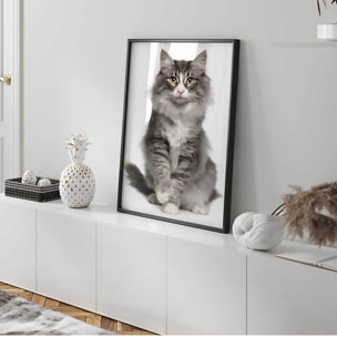 Affiche encadrée chat élégant au pelage majestueux Affiche + cadre en métal - Noir