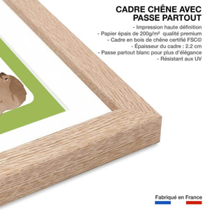 Affiche enfant animaux d'amérique  Affiche + cadre en bois - Chêne